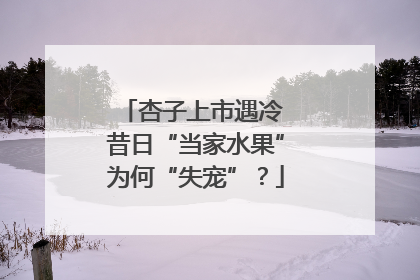 杏子上市遇冷 昔日“当家水果”为何“失宠”？